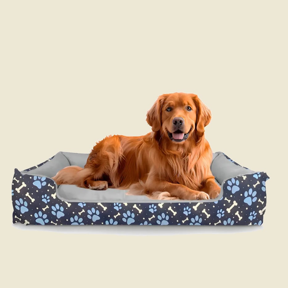 Cama Pet Extra Grande Xg Lavável Cachorro Porte Grande Cor Pata Azul