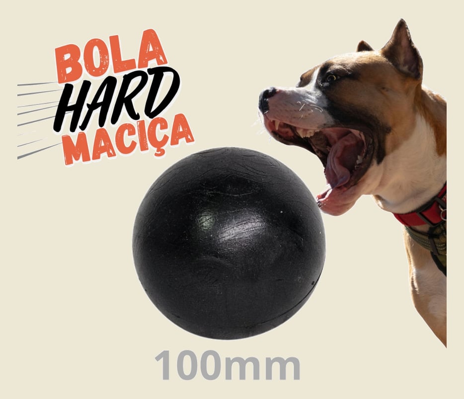Bola Grande Lisa 100mm Resistente Maciça Cães Porte Grande - Brie Pet