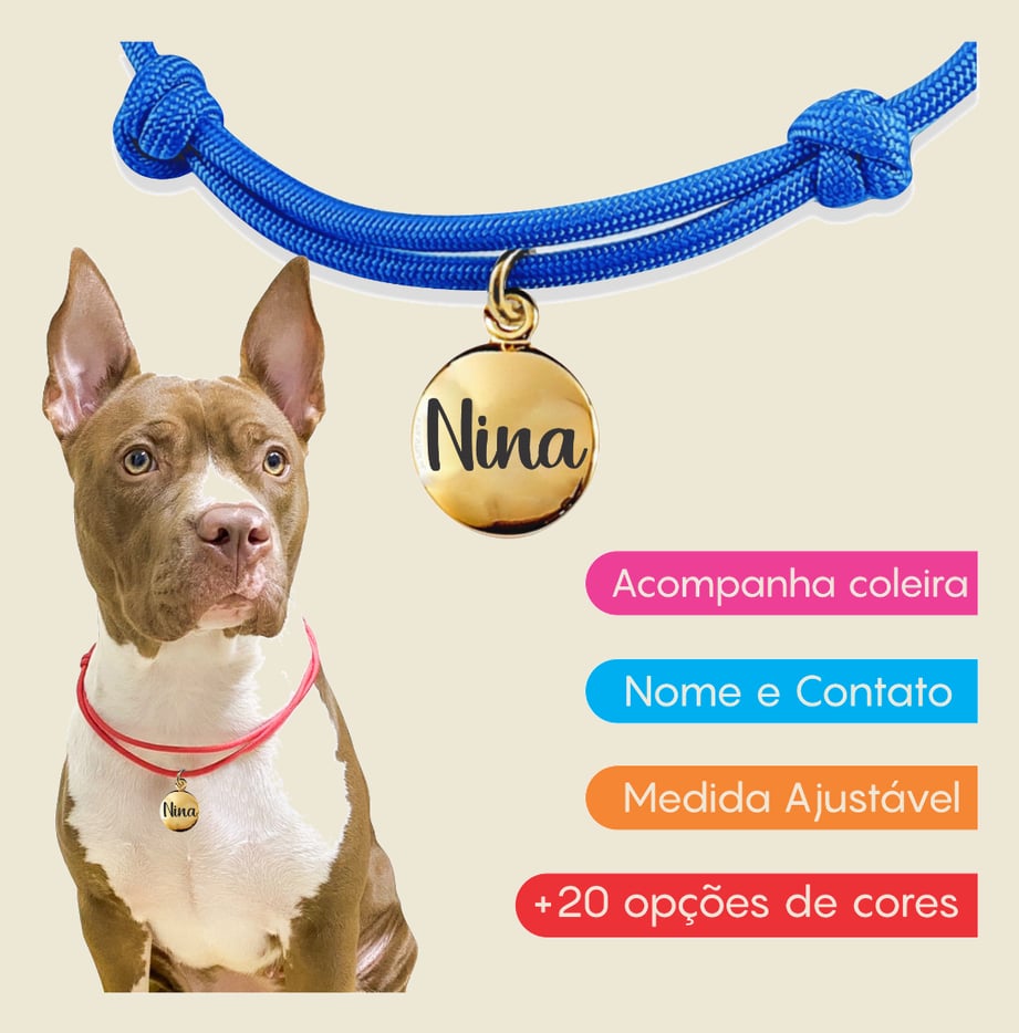 Coleira com Placa Personalizada de Identificação Para cachorro Gato Cão