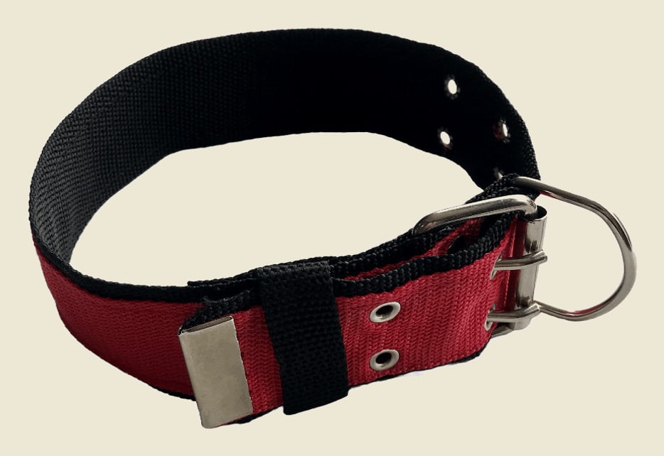 Coleira De Nylon Duplo Resistente Com Fecho Fivela 2 Pinos Para Cães De Médio E Grande Porte