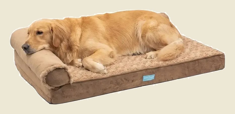Cama Pet Ortopedica Grande 89x58cm Travesseiro Espuma Casca Marrom Luxo Premium