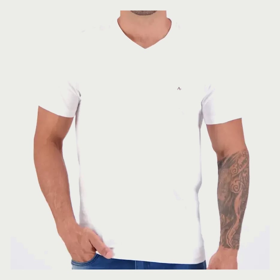 Camiseta Aramis Basica Gola V Branco Branco - G