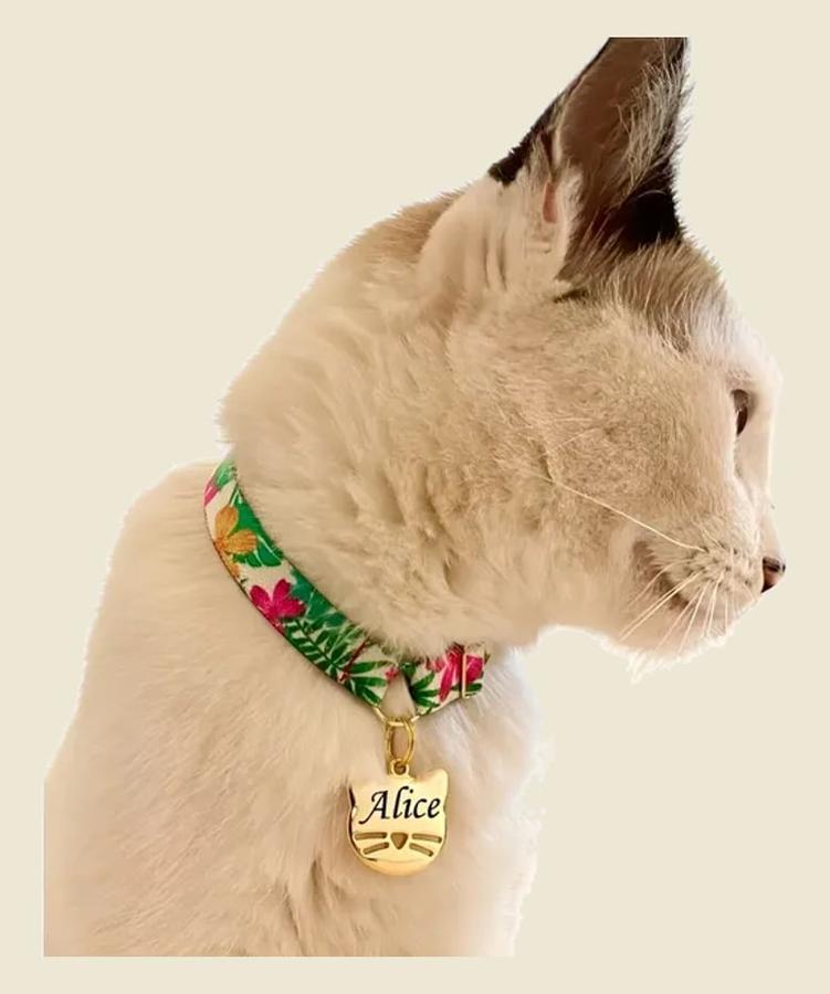 Coleira De Gato Anti Enforcamento Plaquinha Nome E Telefone