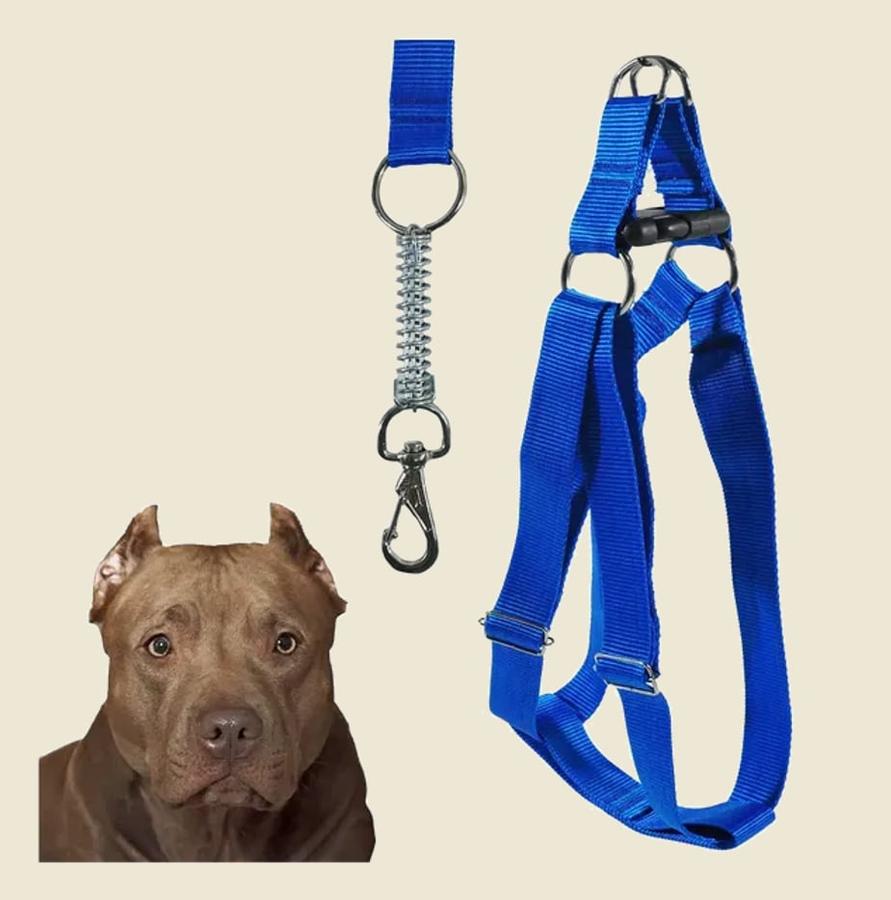Peitoral Coleira Ajustável Com Guia Para Cães Porte Grande