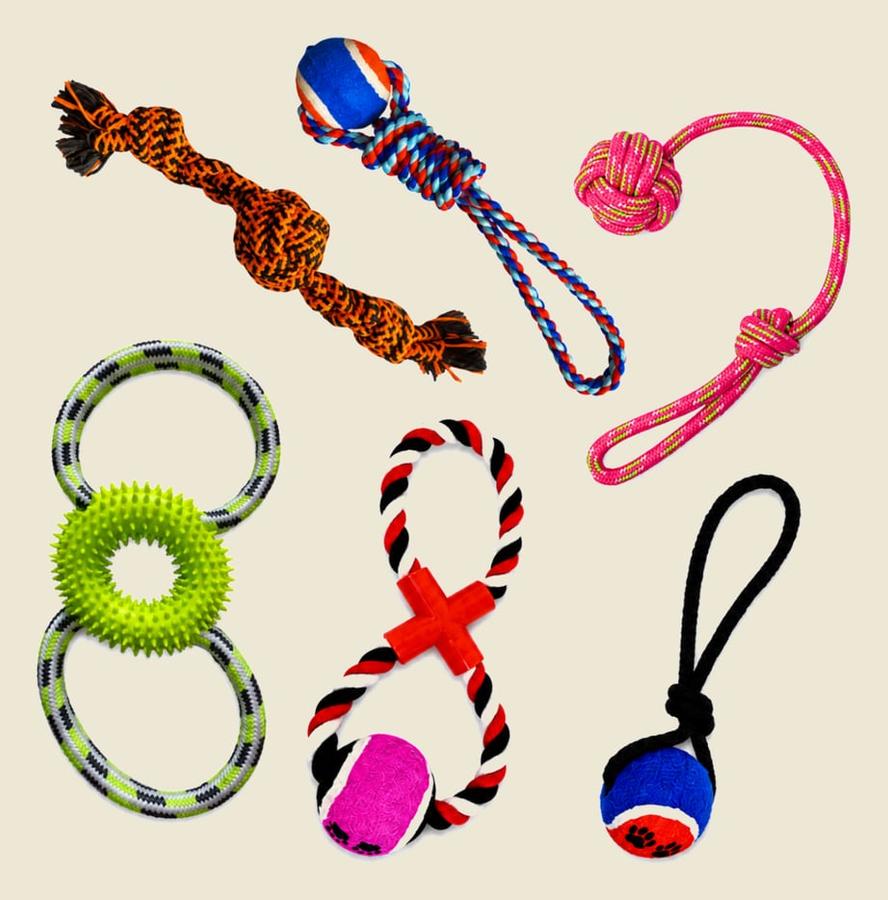 Kit 5 Brinquedo Cachorro Cordas Sortidas para Cachorro Savana Pet - Sortida
