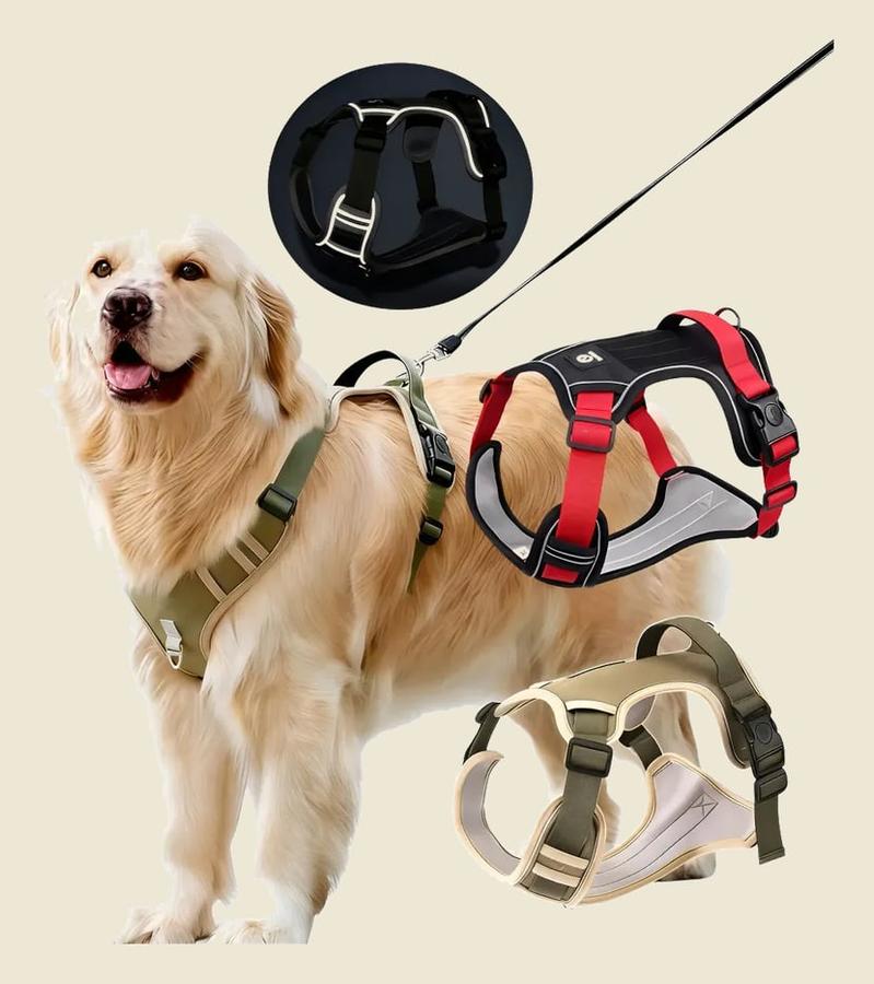 Colete Com Pega Coleira Para Cão Grande Refletivas Ajustável Preto Estrelas Gg 22.5-45kg