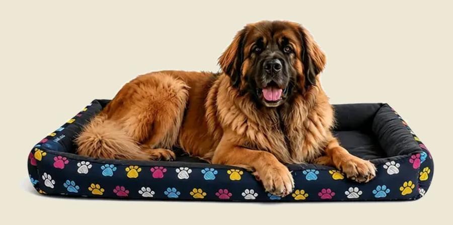 Cama Pet Confortável Xg Extra Grande 100% Algodão