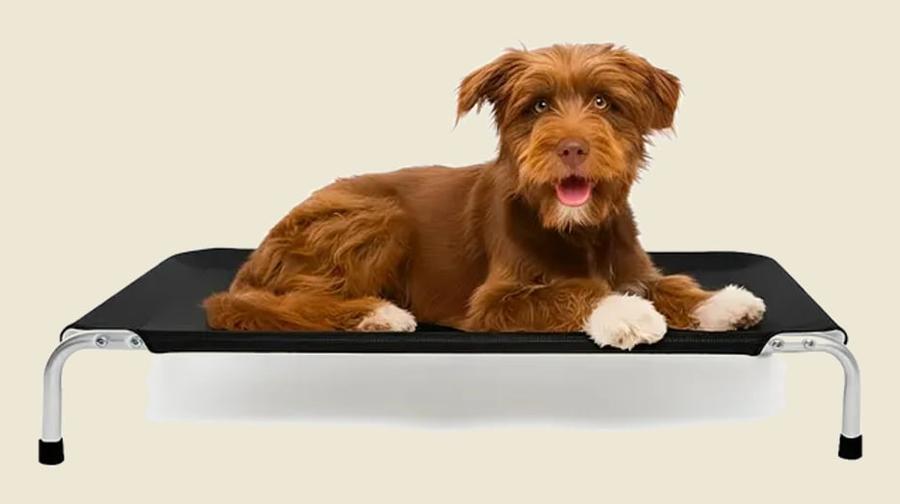 Cama Para Cachorro Médio Suspensa Elevada 75x50cm Dogets