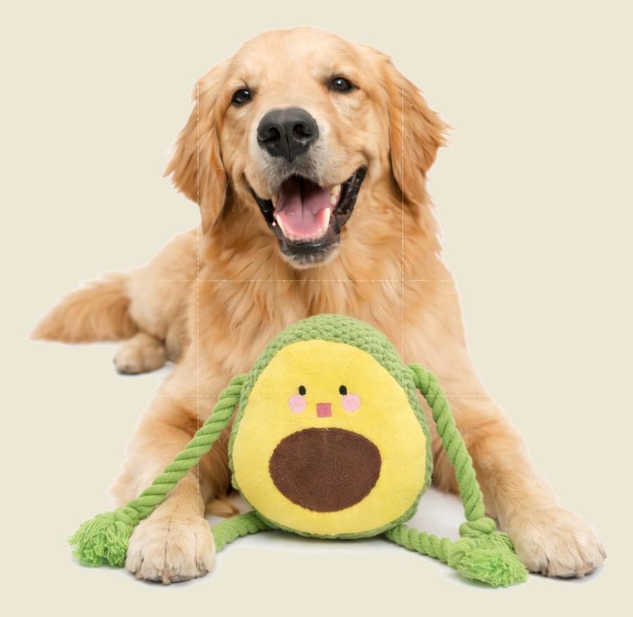 Brinquedo Pet Abacate de Pelúcia – Mordedor Antiestresse para Cachorros