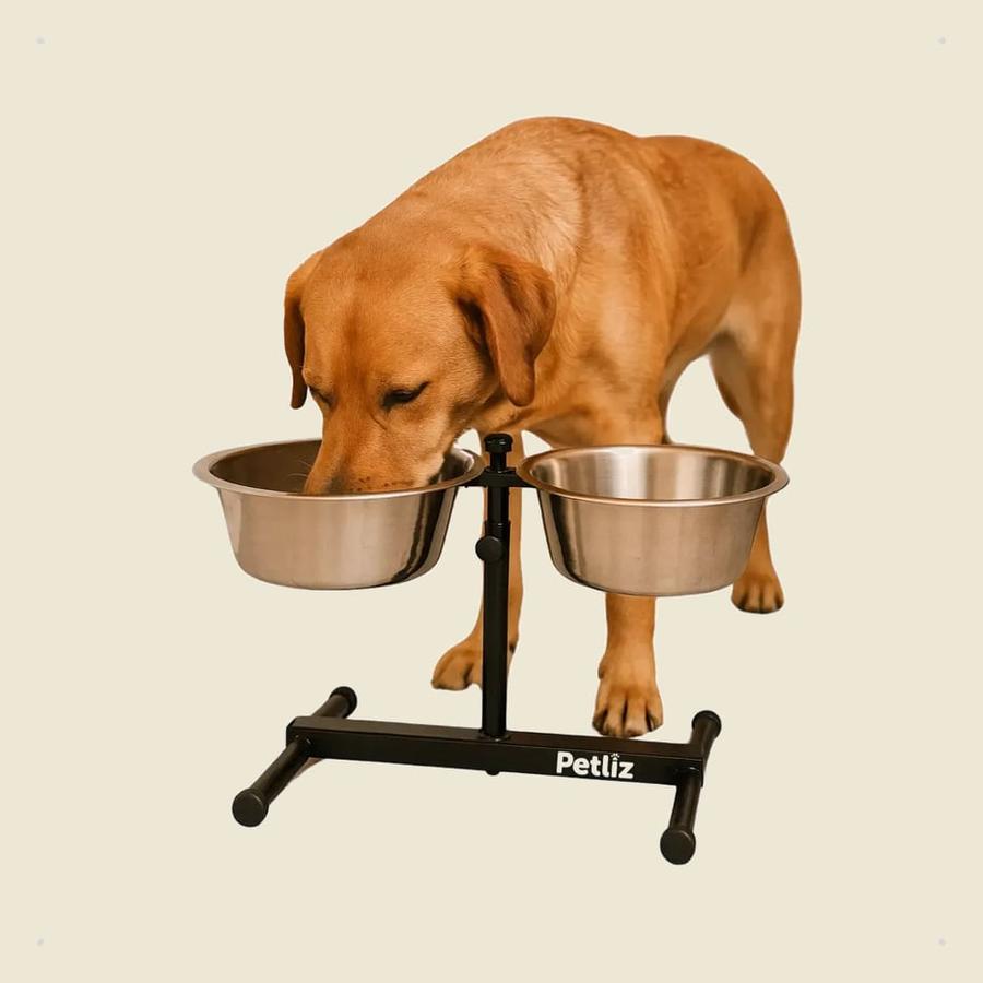 Comedouro Elevado Duplo Regulável Ajustável Cães Médio Preto